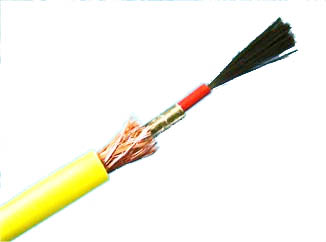 碳纖維發(fā)熱電纜實(shí)物圖