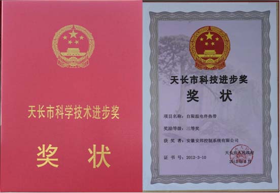 科技進步獎三等獎